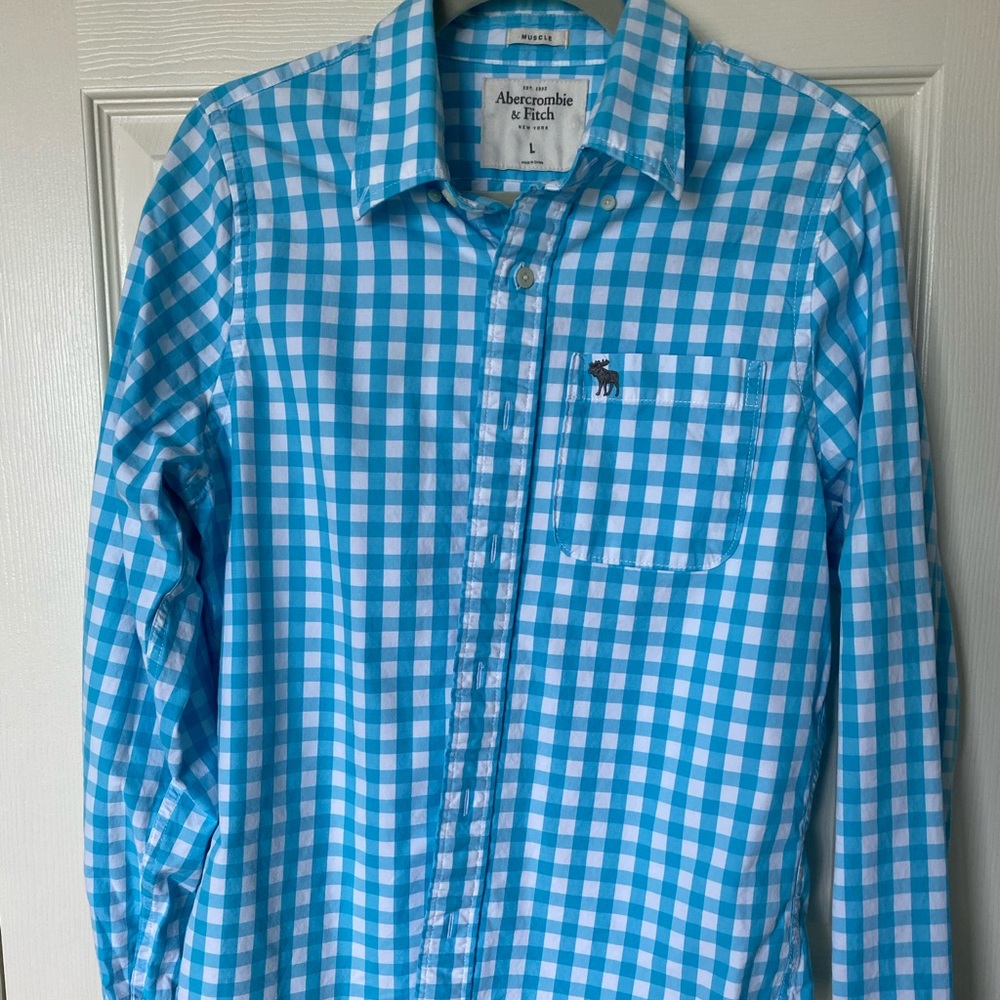 Abercrombie & Fitch muscle fit plaid shirt